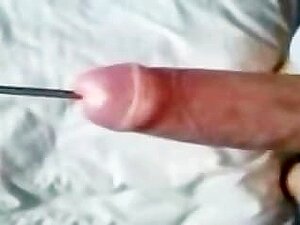 Amateur Penis Porn - Get Ready for Amazing Penis Insertion Porn Videos at xecce.com